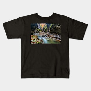 River in limestone canyon Kids T-Shirt